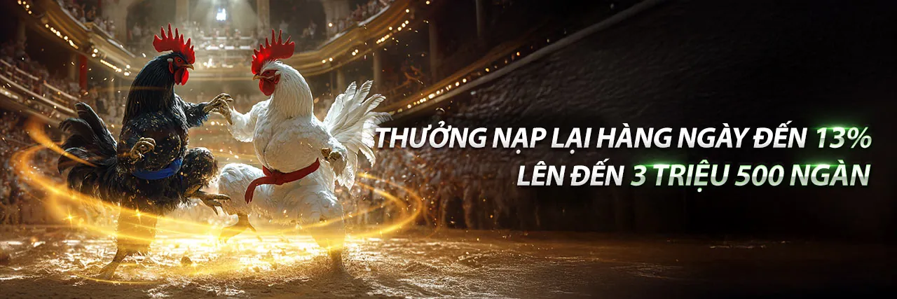 Đá Gà Trực Tuyến AA888 Link Mới 2026